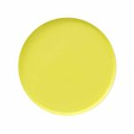 Small-Yellow-Plate-600×720-1.jpg